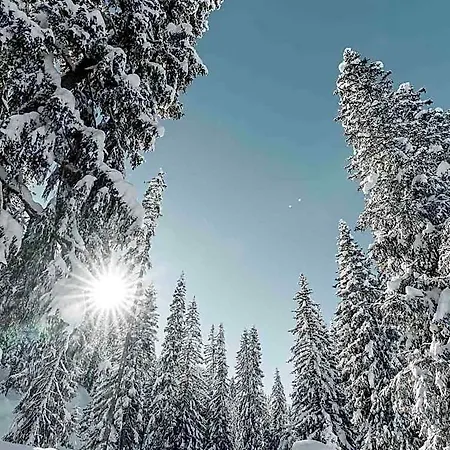 Alpensonne - Panoramazimmer & Restaurant 3* أروسا